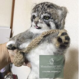 しまい忘れた舌がチャームポイント♪ ミニマヌルネコの招き猫