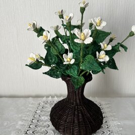 籐花・どくだみ草