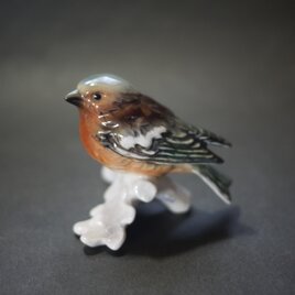 Goebel  ズアオアトリ  ゲーベル  フィギュリン  西ドイツ
