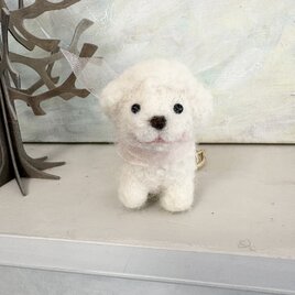 ちびっこトイプーちゃんチャーム　