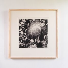 版画 "sunhat in garden"（額装）