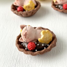 タルトになった猫さん　ベリー&チョコ風