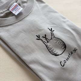 コーデックス（塊根植物）刺繍Tシャツ