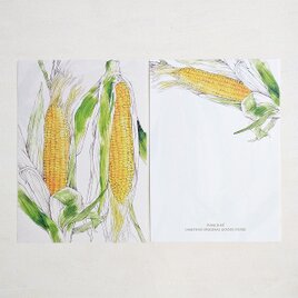 メモ紙　とうもろこし