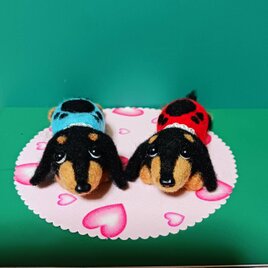 羊毛フェルト ミニチュアダックスフンド 2匹セット　ハートの下敷き付き