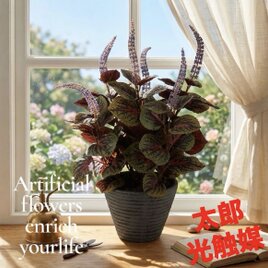 光触媒　人工観葉植物　ウォールグリーン　フェイクグリーン　コリウス