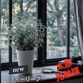 光触媒　人工観葉植物　ウォールグリーン　フェイクグリーン　ティーリーフ