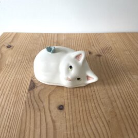 白い子猫とちょうちょの蓋もの