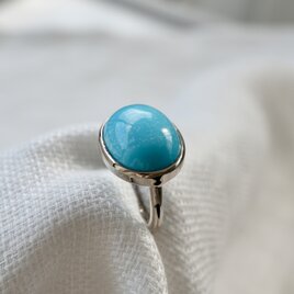 K10WG[arizona turquoise]ring