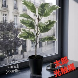 光触媒　人工観葉植物　ウォールグリーン　フェイクグリーン　デコラトリカラー