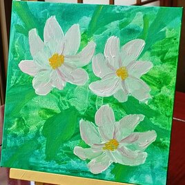 一重の芍薬