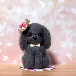 羊毛フェルト おしゃれなトイプードル グレー