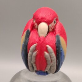 200gAs　マカウ玉