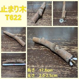 止まり木（枝：TOY-08-015）T622