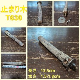 止まり木（枝：TOY-08-015）T630