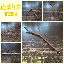止まり木（枝：TOY-08-015）T082