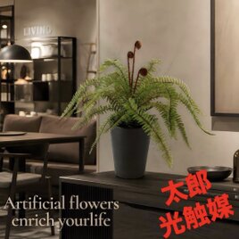 光触媒 人工観葉植物 ウォールグリーン フェイクグリーン コウモリラン