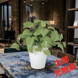 光触媒 人工観葉植物 ウォールグリーン フェイクグリーン アオ
