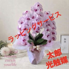 光触媒 人工観葉植物 ウォールグリーン フェイクグリーン 壁掛けプミラ