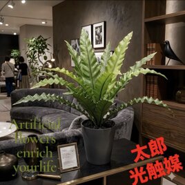 光触媒 人工観葉植物 ウォールグリーン フェイクグリーン アスプ