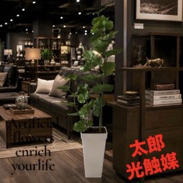 光触媒 人工観葉植物 ウォールグリーン フェイクグリーン ポトス