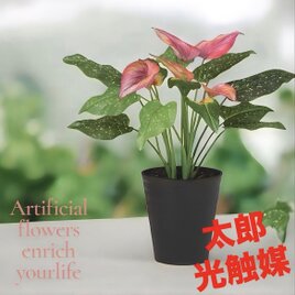 光触媒 人工観葉植物 ウォールグリーン フェイクグリーン 壁掛けプミラ