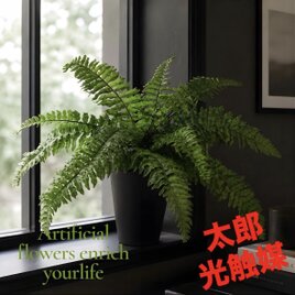 光触媒 人工観葉植物 ウォールグリーン フェイクグリーン ボストン