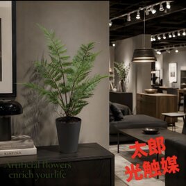 光触媒 人工観葉植物 フェイクグリーン プレミアム胡蝶蘭5本立W
