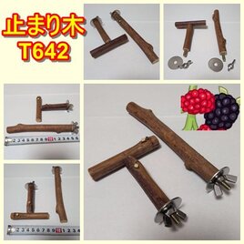 止まり木（枝：TOY-08-015）T643 | iichi 日々の暮らしを心地よくする