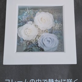 プリザーブドフラワー12輪花束／青い薔薇と空色ローズとシルバーローズ