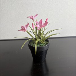 ドクダミ | iichi 日々の暮らしを心地よくするハンドメイドや