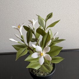 クレイフラワー チューリップ | iichi 日々の暮らしを心地よくする