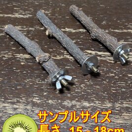 止まり木（柿枝：TOY-08-015）×2 | iichi 日々の暮らしを心地よくする