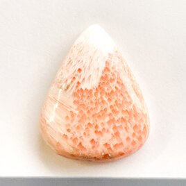 パームルートアゲート[60] 55x23mm 63Cts 天然石 ／ ルース