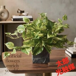 光触媒 人工観葉植物 ウォールグリーン フェイクグリーン ユーカリptw