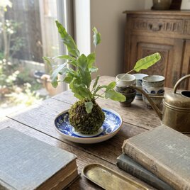 0021 焼杉 泊舟花器 舟形花器 花器 フラワーベース / 茶趣 茶花 華道