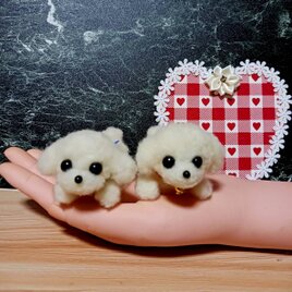 羊毛フェルト　ダックス　専用出品 羊毛フェルト ダックスフンド 餌ください上目が可愛い | iichi 日々の