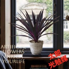 光触媒 人工観葉植物 ウォールグリーン フェイクグリーン 盆栽 | iichi
