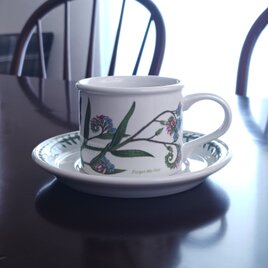 Villeroy & Boch｜AMAPOLA｜ビレロイ＆ボッホ｜アマポーラ｜カップ