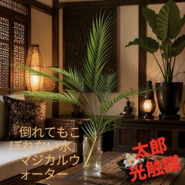 光触媒 人工観葉植物 ウォールグリーン フェイクグリーン ユーカリptw