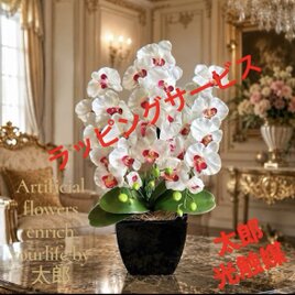 光触媒 観葉植物 ウォールグリーン フェイクグリーン ユッカ