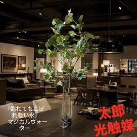 光触媒 人工観葉植物 ウォールグリーン フェイクグリーン ユーカリptw