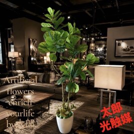 光触媒 人工観葉植物 ウォールグリーン フェイクグリーン アレカヤシ