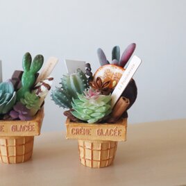 再販 '23 りんごとモミのクリスマスツリー | iichi 日々の暮らしを