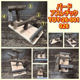 幼鳥、老鳥用の止まり木（枝）(TOY-08-002) 434 | iichi 日々の暮らし