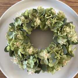 秋色紫陽花とユーカリのナチュラルリース | iichi 日々の暮らしを