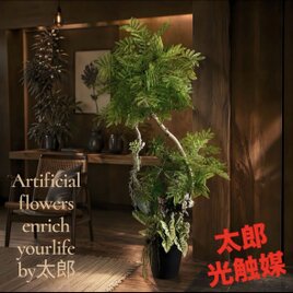 光触媒 人工観葉植物 ウォールグリーン フェイクグリーン 胡蝶蘭7845