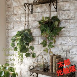 光触媒 人工観葉植物 ウォールグリーン フェイクグリーン 胡蝶蘭7845