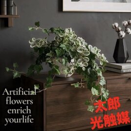 光触媒 人工観葉植物 ウォールグリーン フェイクグリーン モンステラ