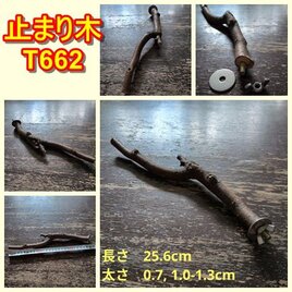 止まり木（枝：TOY-08-015）T662 | iichi 日々の暮らしを心地よくする